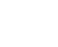 kinsto